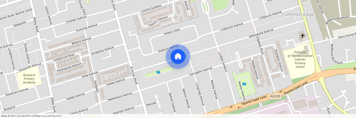 Ivy Avenue, Blackpool, FY4 3QG