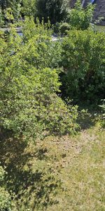 1 Zimmer Wohnung, saniert mit Balkon und Autoabstellplatz - Photo 4