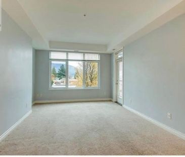 MiraVista – UTILITIES INCLUDED!! - Photo 3