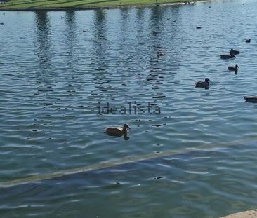 Alquiler de piso en Calle Turina, 4 - Photo 6