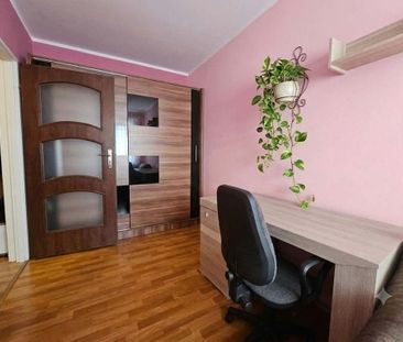 Wynajmij wygodnie i w cichej okolicy. 43 m² - Photo 6