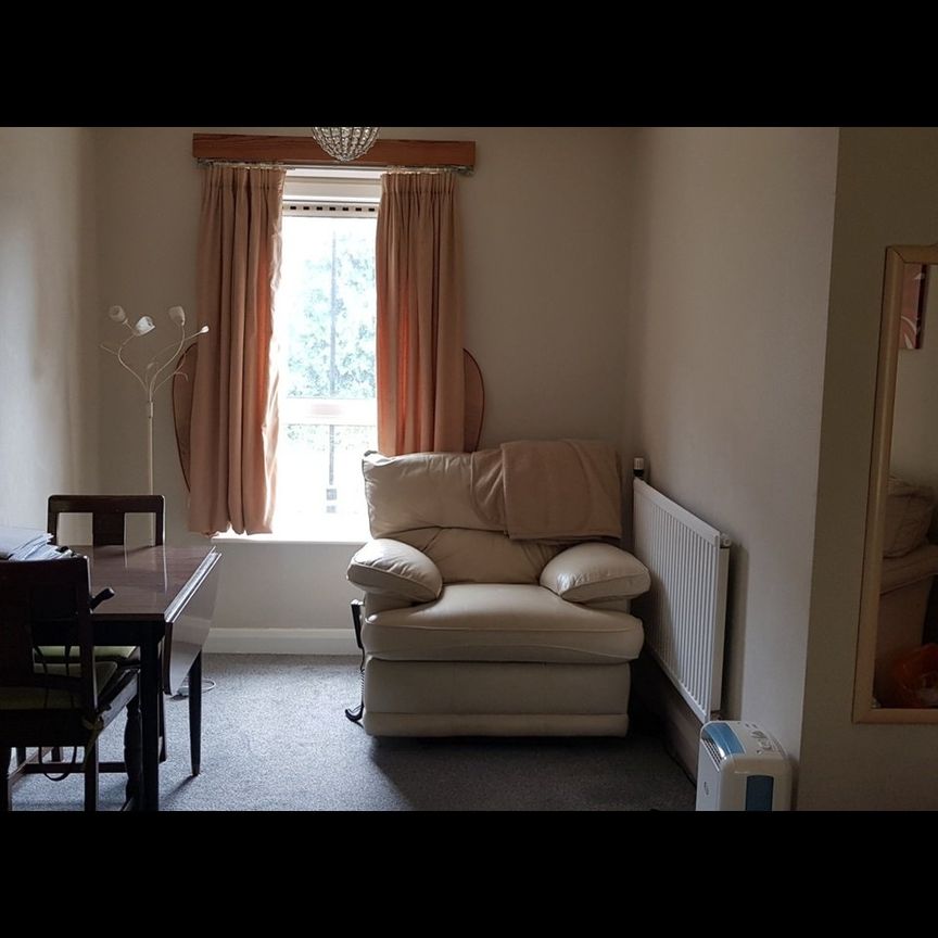 2 Bed Flat, Guildford Avenue, S2 - Photo 1