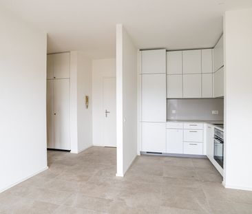 MENDRISIO – 2.5 LOCALI RINNOVATO - Photo 3