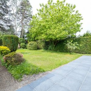 Ferndown LARGE MODERN BUNGALOW - Photo 2