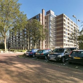 Fluitekruidweg 0ong, 1508 Zaandam, Nederland - Photo 3