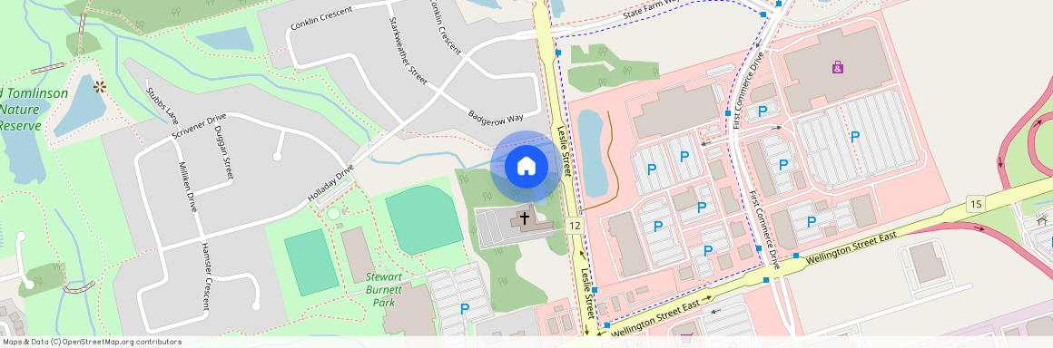 21 Chestnut Court, Aurora