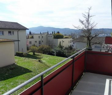 Zwischen Limmat und Rebbergen: Höngg verbindet Natur mit Stadtleben - Foto 5