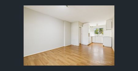 Prime Beaufort Street Location - Photo 3