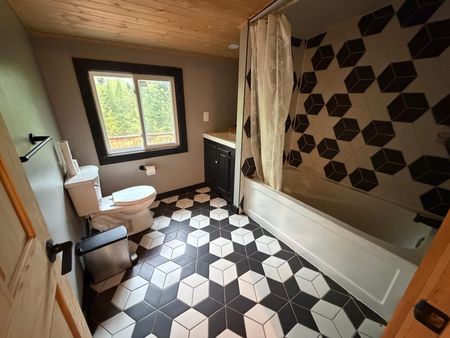 For Lease - 106 Boundary Lane, Trent Lakes, Ontario - Photo 5