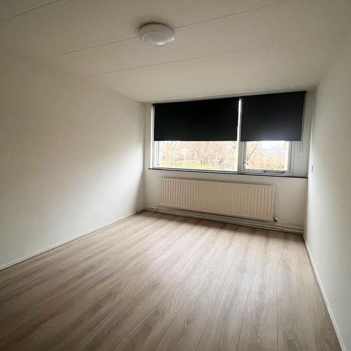 Van Polanenpark 162, Zijlwatering-haven, 2241RV, Wassenaar - Photo 1