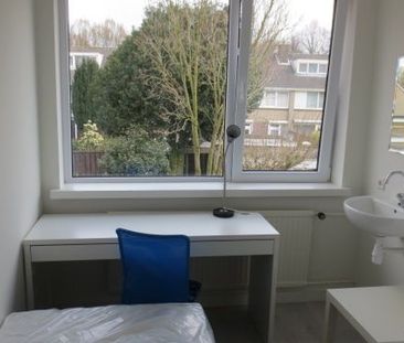 Dr Cuyperslaan - Foto 5
