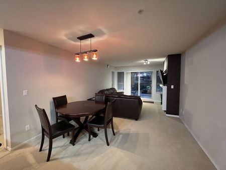 Exceptionally Spacious Furnished Ground Level 2 bed/2 bath near SFU - Photo 2