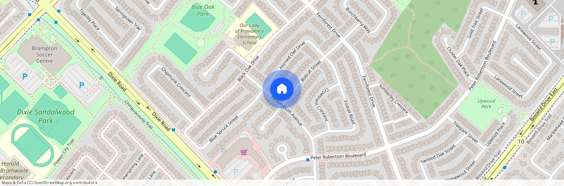 39 Bobcat Street Unit# Basement, Brampton