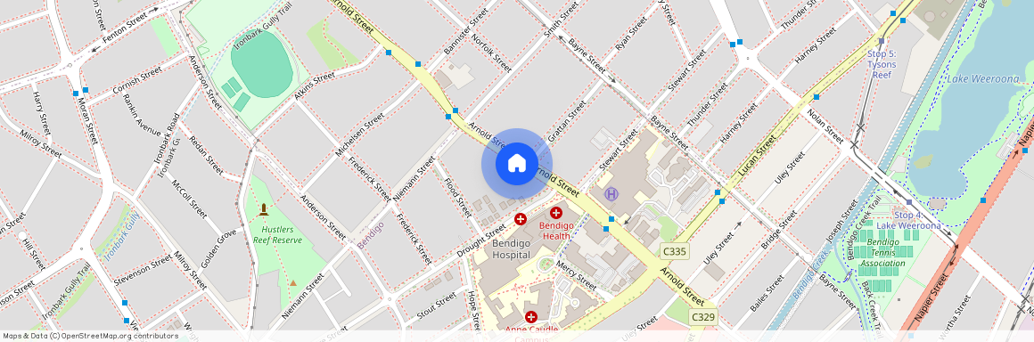 157 Arnold Street, Vic 3550, Bendigo