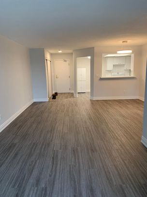 For Lease - 100 Observatory Lane Unit# 505, Richmond Hill, Ontario - Photo 1