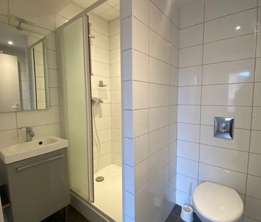 Location Appartement 1 pièce 35m² BRIGNAIS 69530 - Photo 5