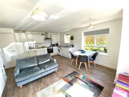 1 bedroom flat to rent - Photo 2
