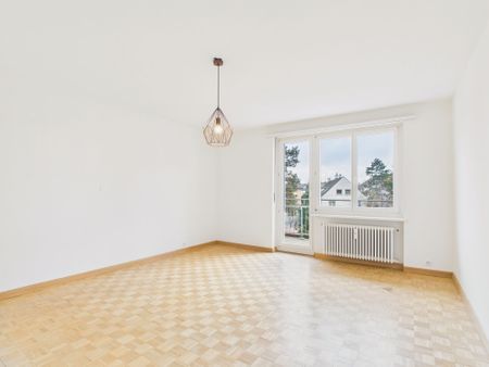 Attractive and very large 173m2 duplex apartment in Allschwil, BL - 24 months limited until the end of 2027 - Photo 3