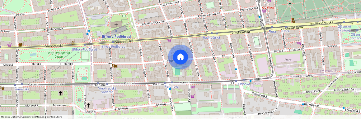 Slezská, Praha 2 - Vinohrady