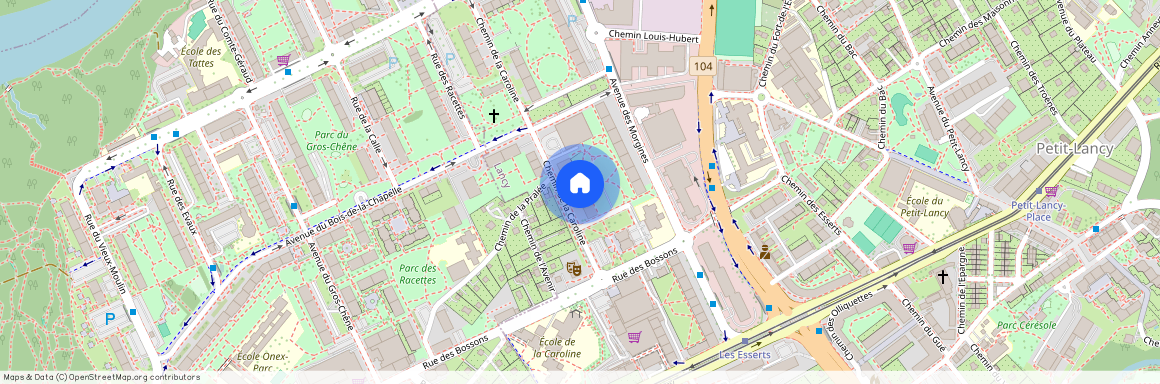 1213, Petit-Lancy, Chemin de la Caroline, 16