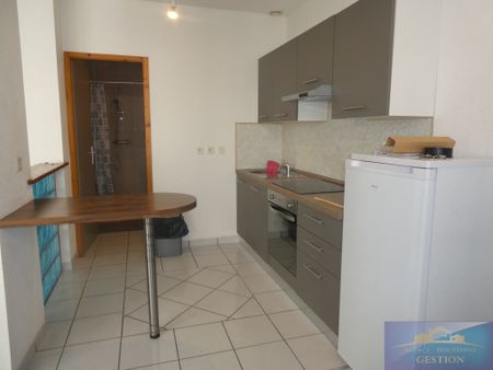 Location Appartement 1 pièce 49m² LOURDES 65100 - Photo 3