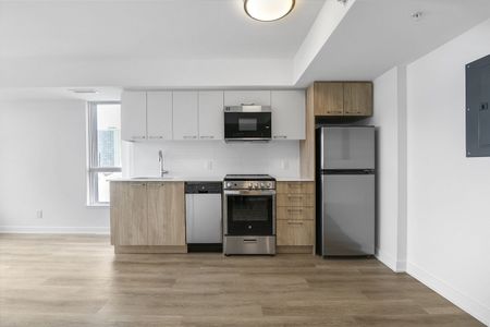 19 Robinson Avenue, Sandy Hill, Ottawa, ON - Photo 2