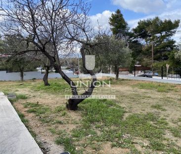 Μονοκατοικία για ενοικίαση Λαγονήσι (Καλύβια Θορικού) - Photo 5