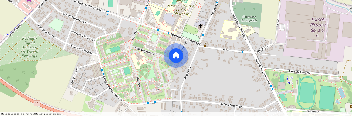 ul. Królowej Jadwigi, Pleszew, Pleszew, pleszewski, wielkopolskie