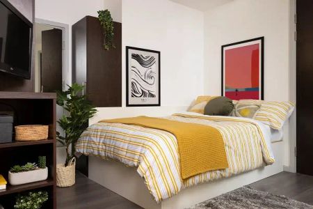 Extra Large Highest Double Studio - Photo 5