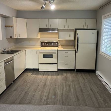 Bright, Clean, Spacious Full Height Suite in Great Location - Photo 4