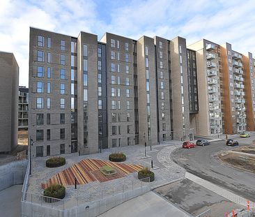 Moderne stuelejlighed med stor terrasse ved Østre Havn - Photo 5