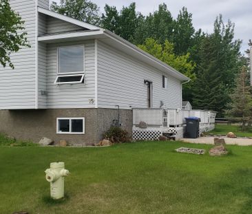 Beautiful 3 Bedroom half duplex in Sylvan Lake! - Photo 4
