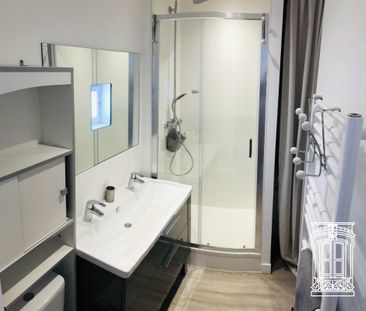 Location Appartement 1 pièce 27m² LYON 1er - Photo 6