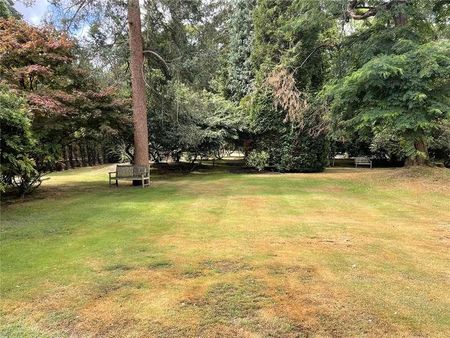 Camp End Road, Weybridge, Surrey, KT13 - Photo 5