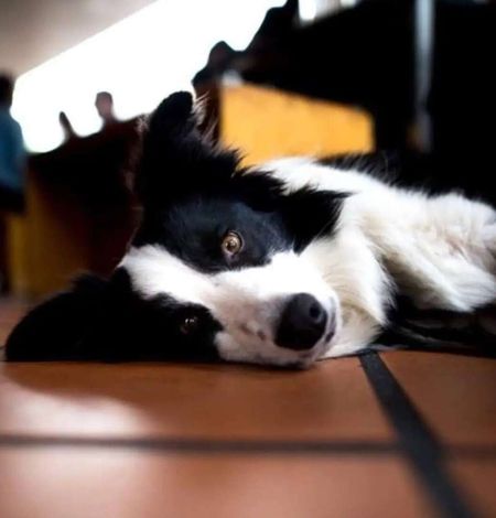 Highgate Hill - Photo 2