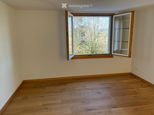 3.5 Zimmer - Photo 1