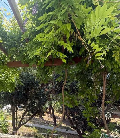 Μονοκατοικία για ενοικίαση - Παπάγου, - Photo 4