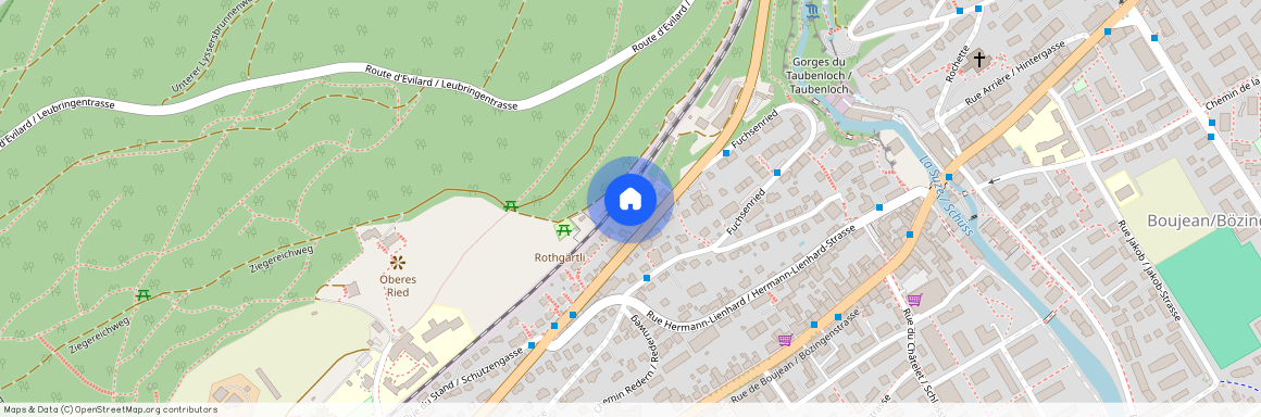 2502, Biel, Route De Reuchenette / Reuchenettestrasse, 99