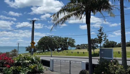 Beautiful Narrow Neck Beach. - Photo 4