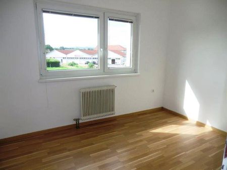 15384 - Südseitige Bestlage in Wagram! - Photo 4