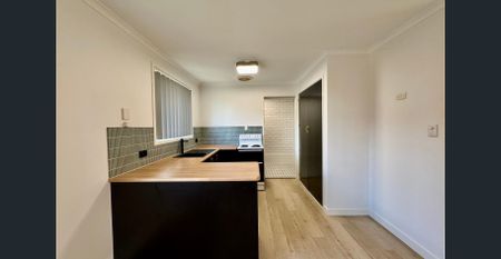 Renovated 2 Bedroom Unit for Lease - Photo 4