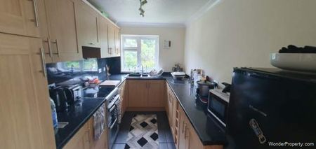 2 bedroom property to rent in Chard - Photo 4