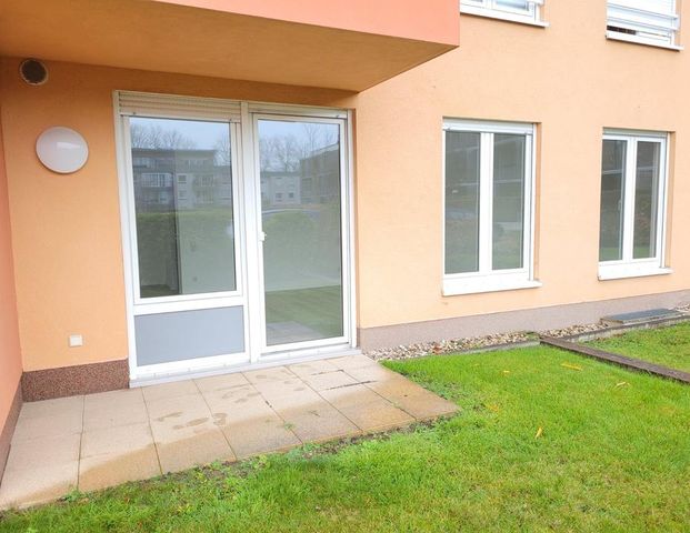 Gemütliche 2-Zimmer-Wohnung in Mülheim an der Ruhr – Holthausen - Photo 1