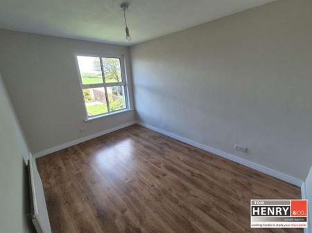 26 IVYBANK PARK, DONAGHMORE, BT70 3EU - Photo 5