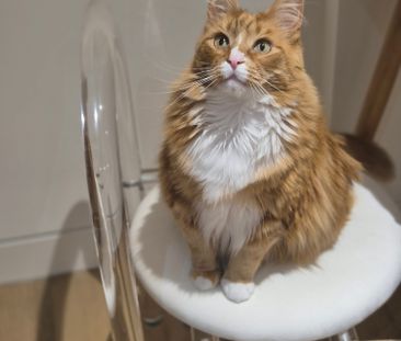 Glen Waverley - Photo 3