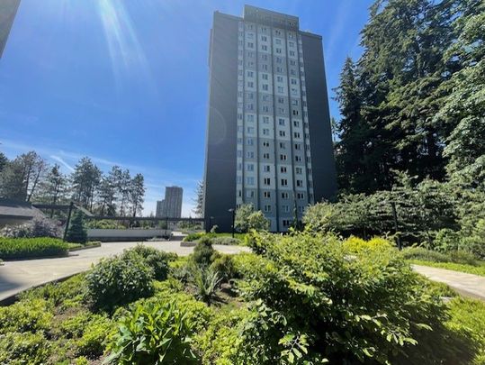 Updated and Bright Corner Unit Two Bedroom in Convenient Lougheed Area - Photo 1