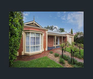 1A Birnie Avenue, Kensington Park - Photo 1