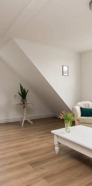 De Phoenix 12 - Foto 1