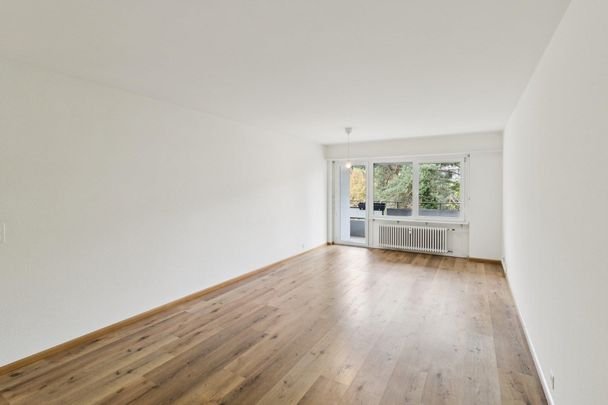 Helle & geräumige 3-Zimmer-Wohnung zu mieten! - Photo 1