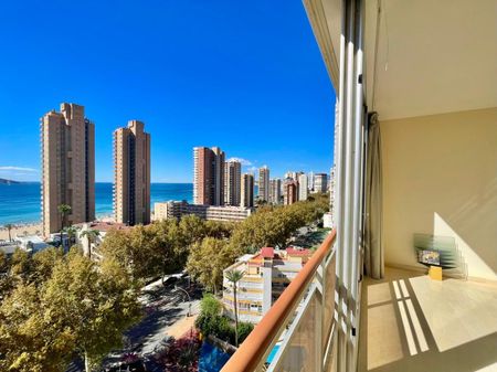 Flat for rent in Benidorm of 55 m2 - Photo 2